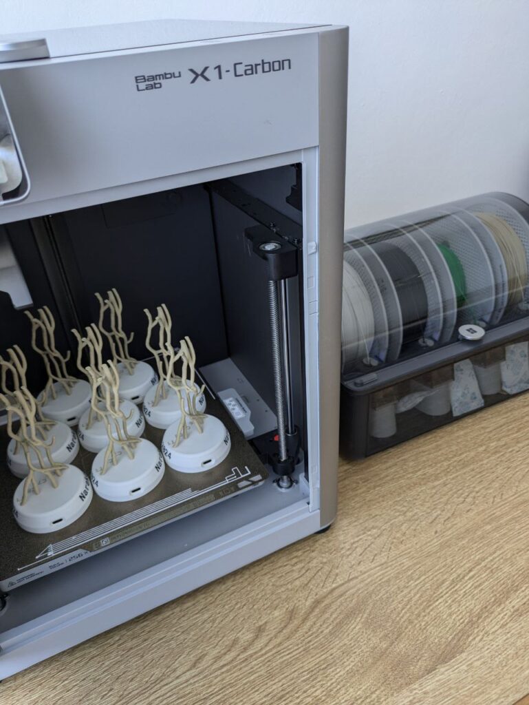 3D printed medical model showing detailed anatomical structure