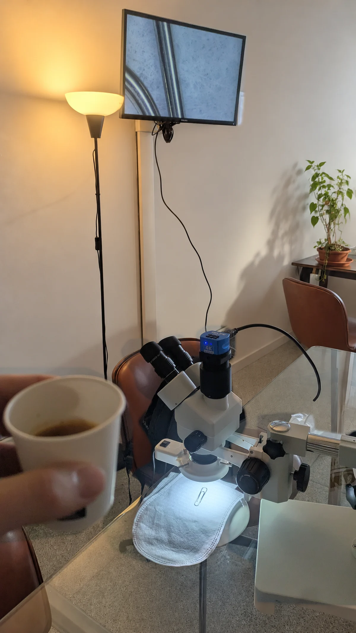 Installed microscope camera, paper clip and wall display, with a coffee cup in the foreground